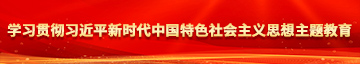 大屌叉女屁学习贯彻习近平新时代中国特色社会主义思想主题教育